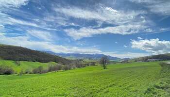 Hastalıktan Ari Çiftlik ne demek ?