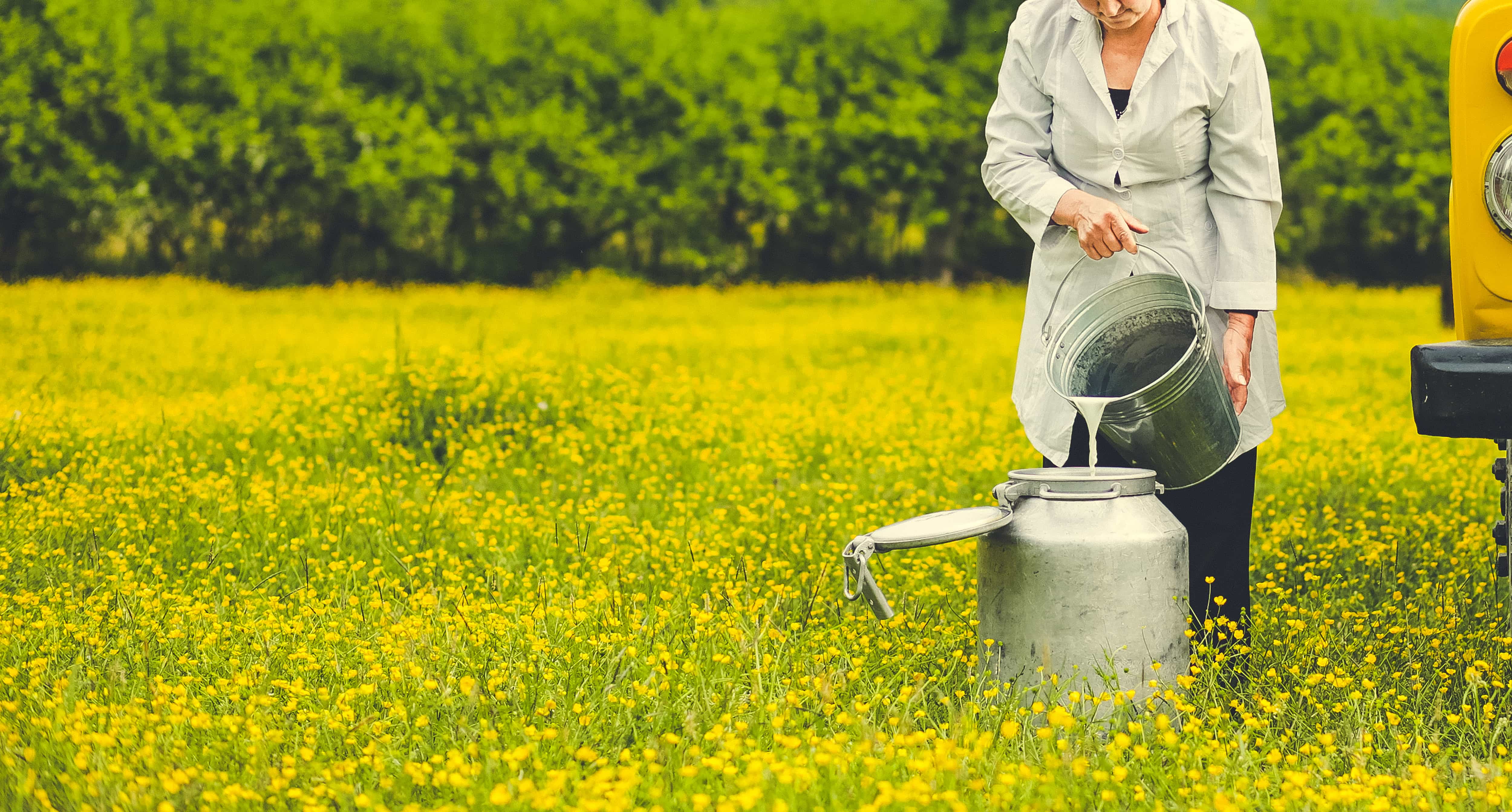 Çiğ Süt Alırken Dikkat Edilmesi Gerekenler