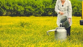 Çiğ Süt Alırken Dikkat Edilmesi Gerekenler