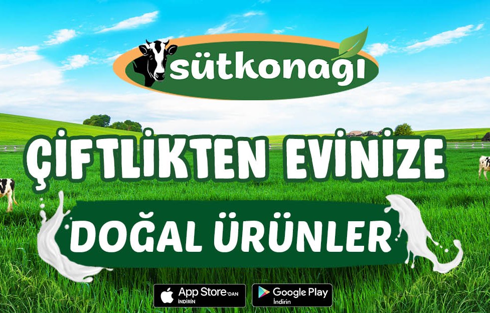 Samsun Günlük Süt