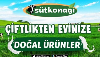 Samsun Günlük Süt